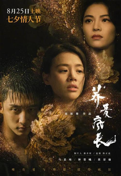 哪里可以办爱尔兰身份证